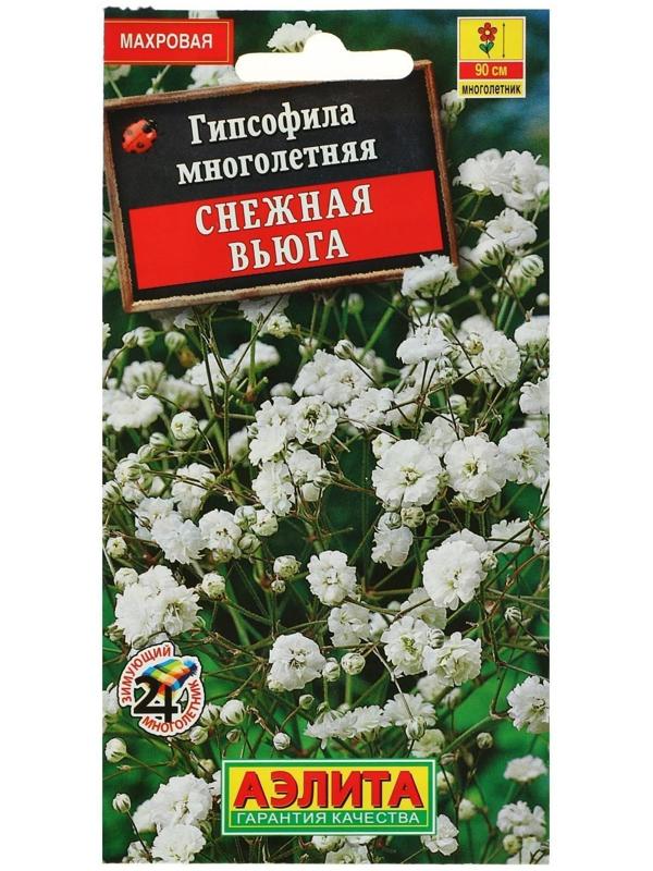 Семена цветов Гипсофила 