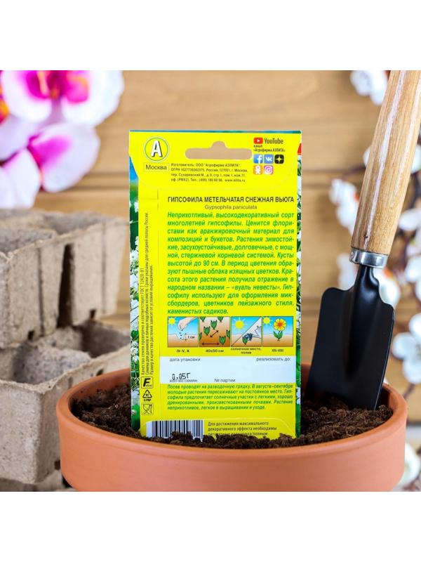 Семена цветов Гипсофила 