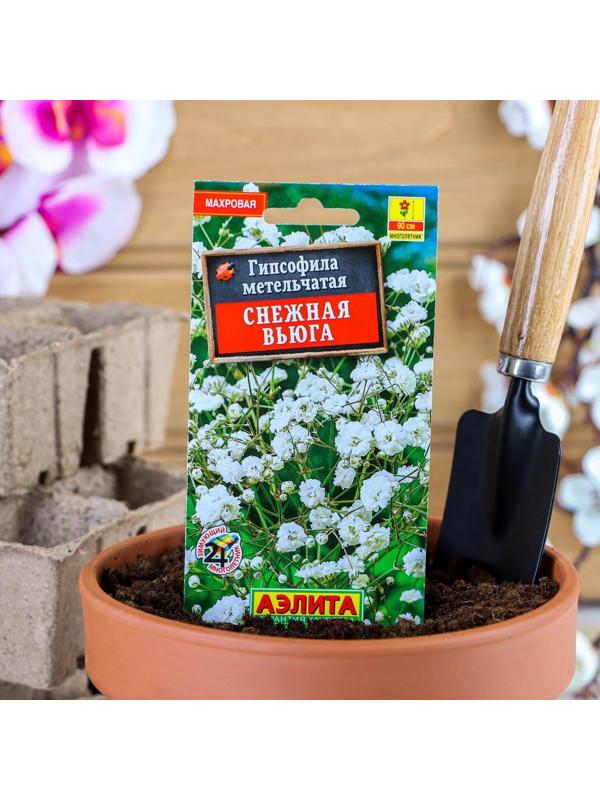 Семена цветов Гипсофила 