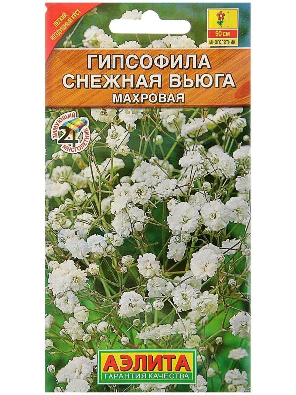 Семена цветов Гипсофила 