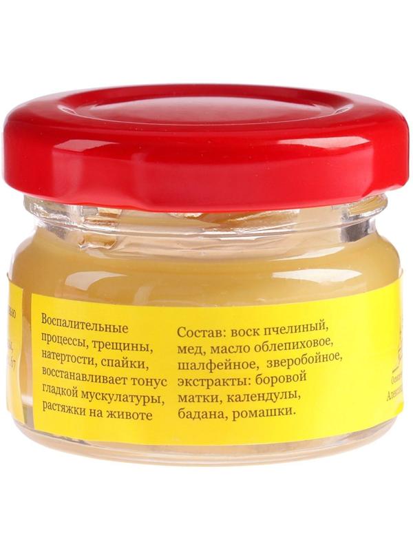 Мазь «Монастырская Женское здоровье», 25 мл, 