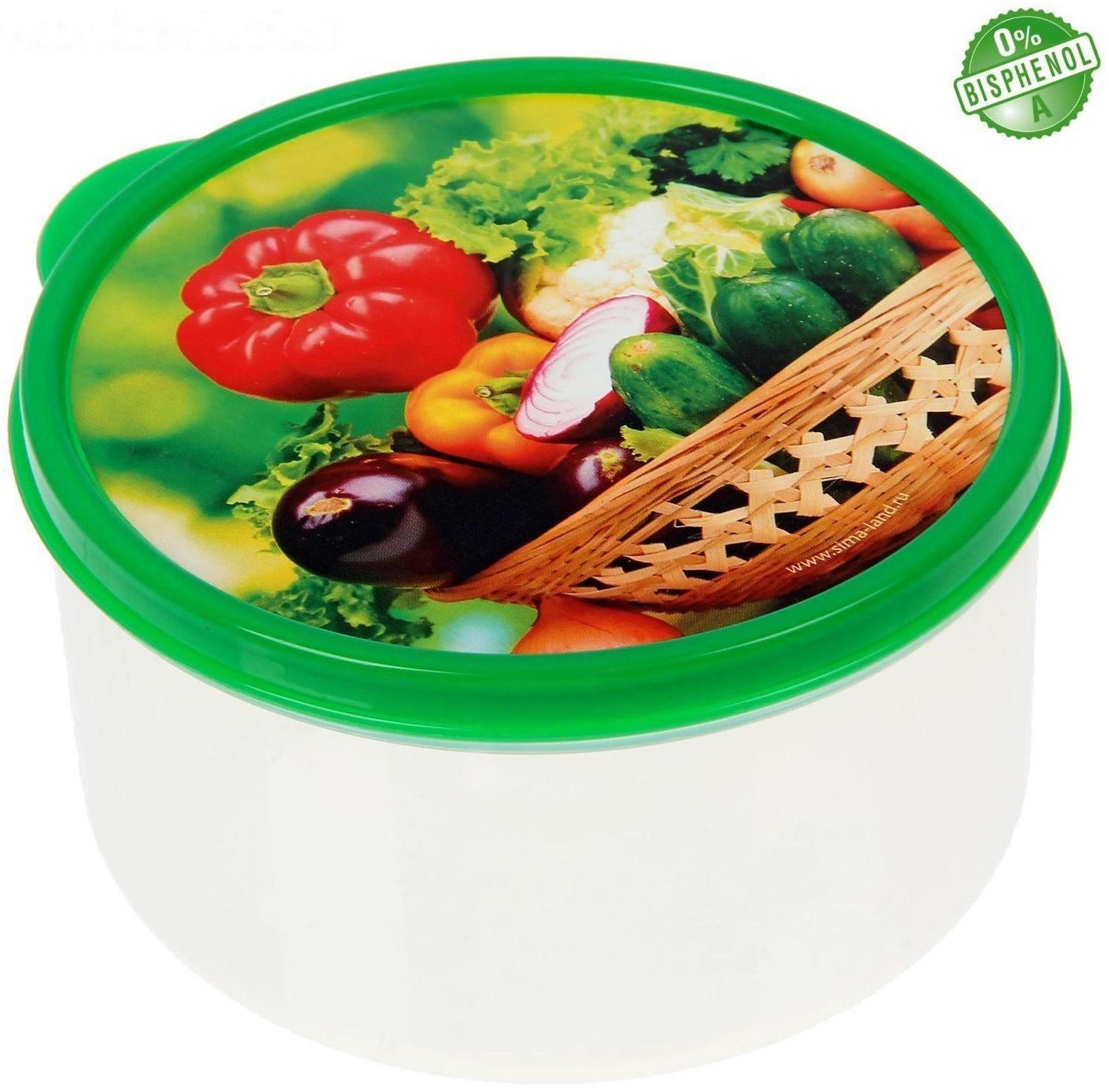 Ланч-бокс «Овощи и зелень», 0.5 л