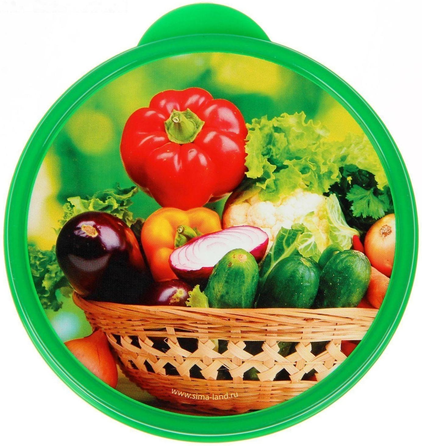 Ланч-бокс «Овощи и зелень», 0.5 л