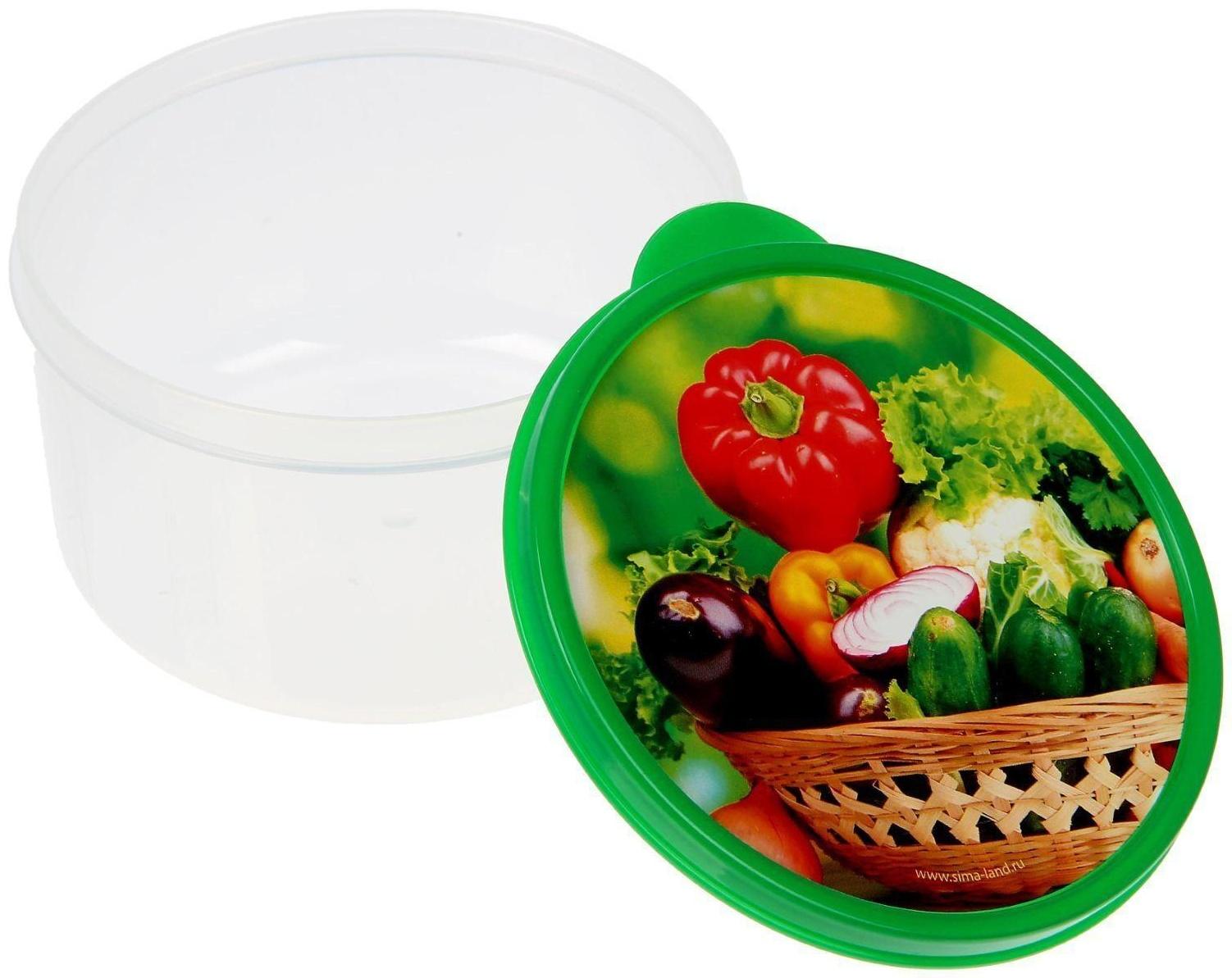 Ланч-бокс «Овощи и зелень», 0.5 л