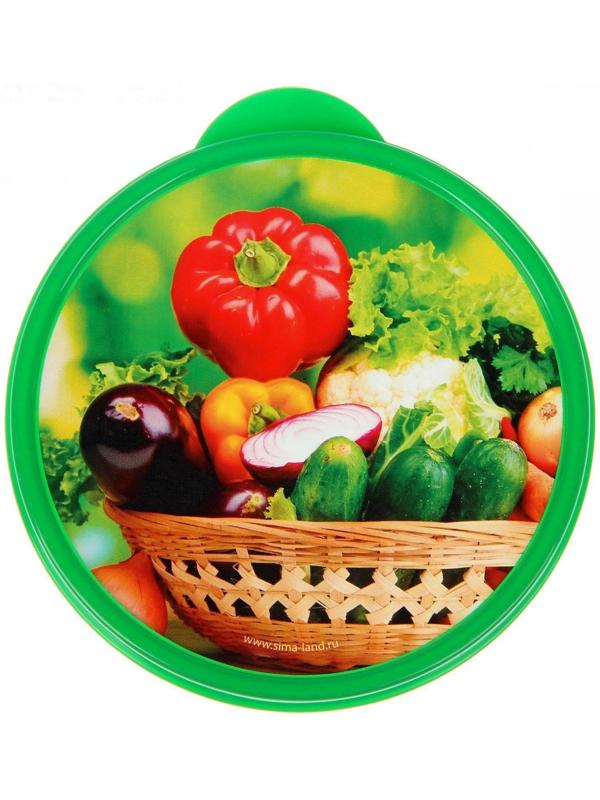 Ланч-бокс «Овощи и зелень», 0.5 л