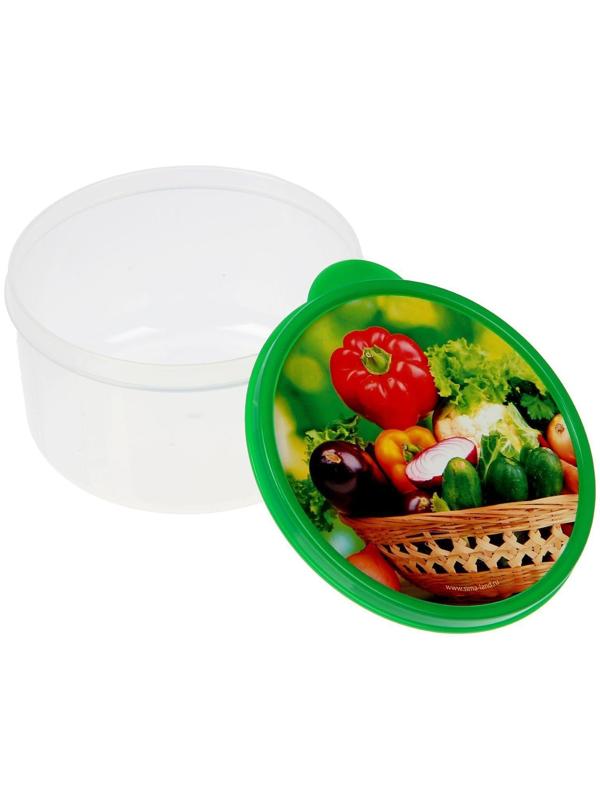 Ланч-бокс «Овощи и зелень», 0.5 л