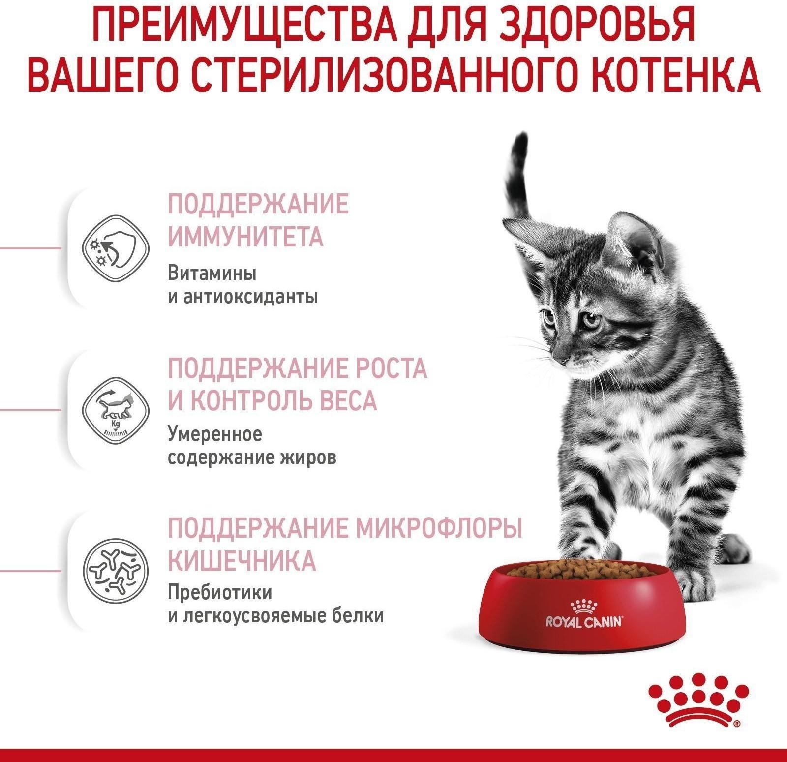 Сухой корм RC Kitten Sterilised для стерилизованных котят,  400 г