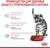 Сухой корм RC Kitten Sterilised для стерилизованных котят, 2 кг