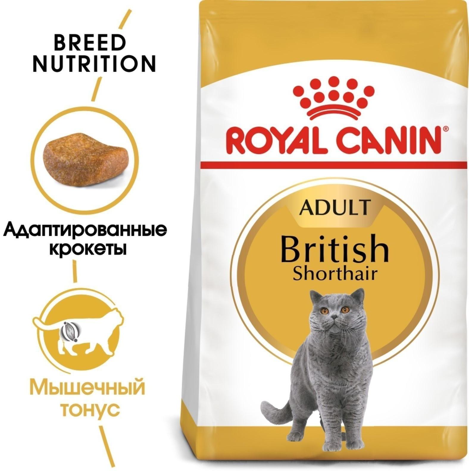 Сухой корм RC British Shorthair для британских кошек, 400 г