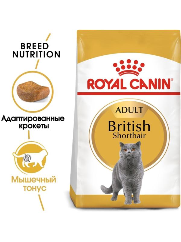 Сухой корм RC British Shorthair для британских кошек, 400 г