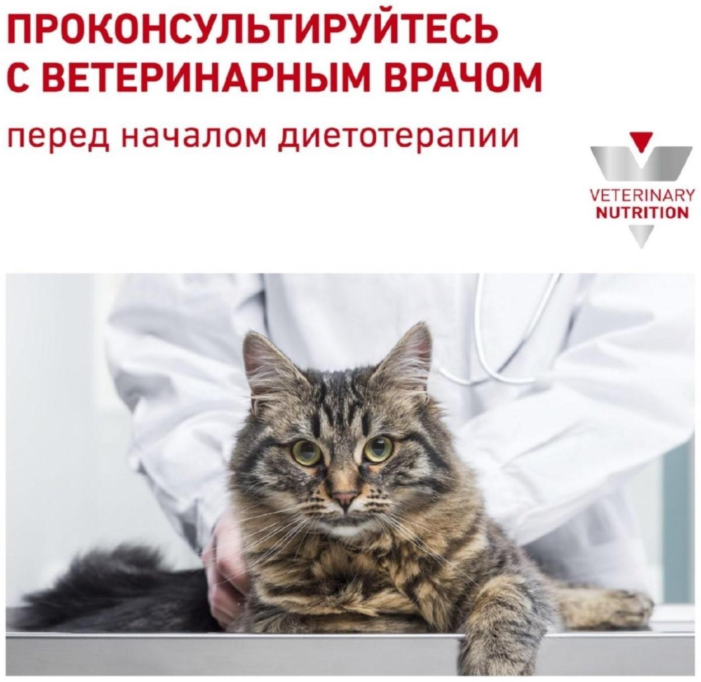 Сухой корм RC Renal RF 23 Feline для кошек с  почечной недостаточностью, 2 кг