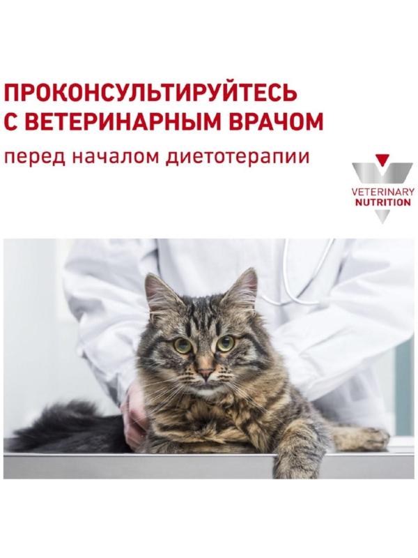 Сухой корм RC Renal RF 23 Feline для кошек с  почечной недостаточностью, 2 кг