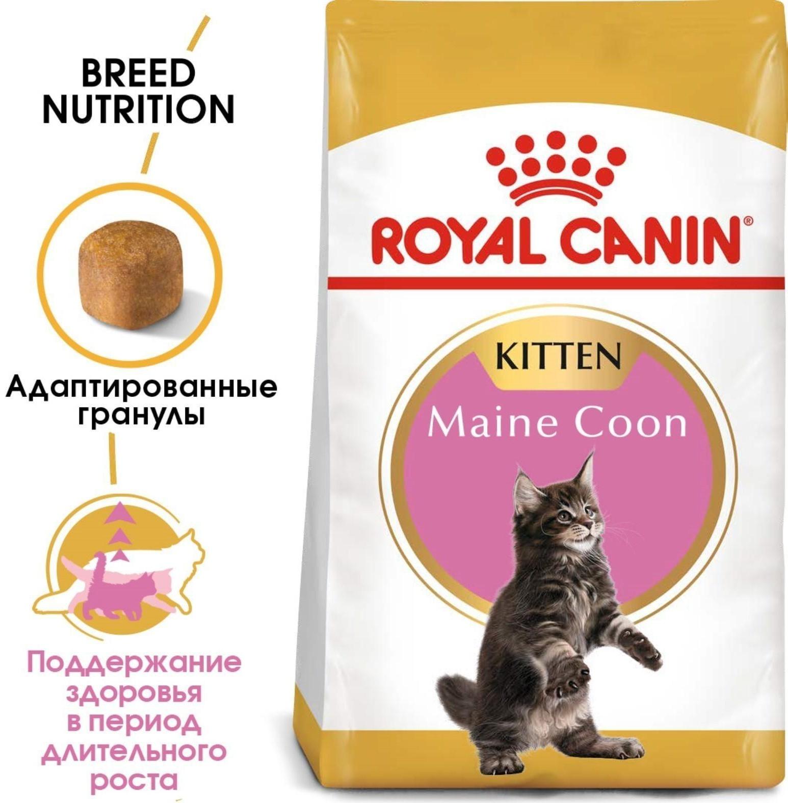 Сухой корм RC Kitten Maine Coon для котят крупных пород, 2 кг