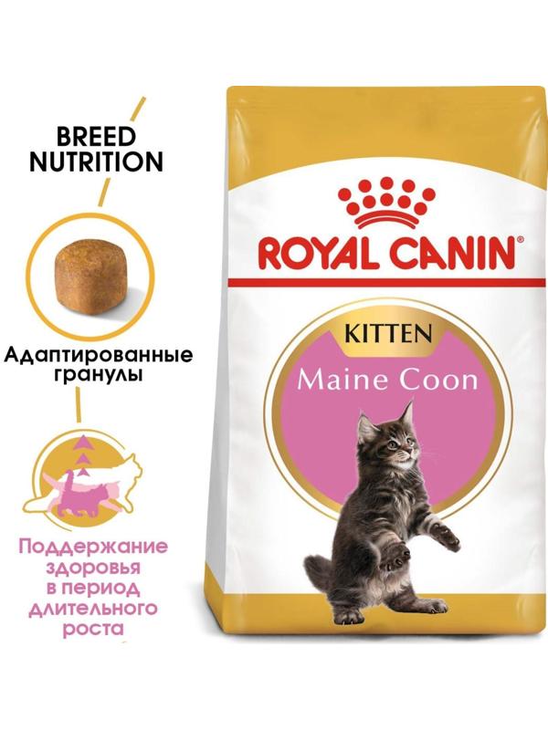 Сухой корм RC Kitten Maine Coon для котят крупных пород, 2 кг