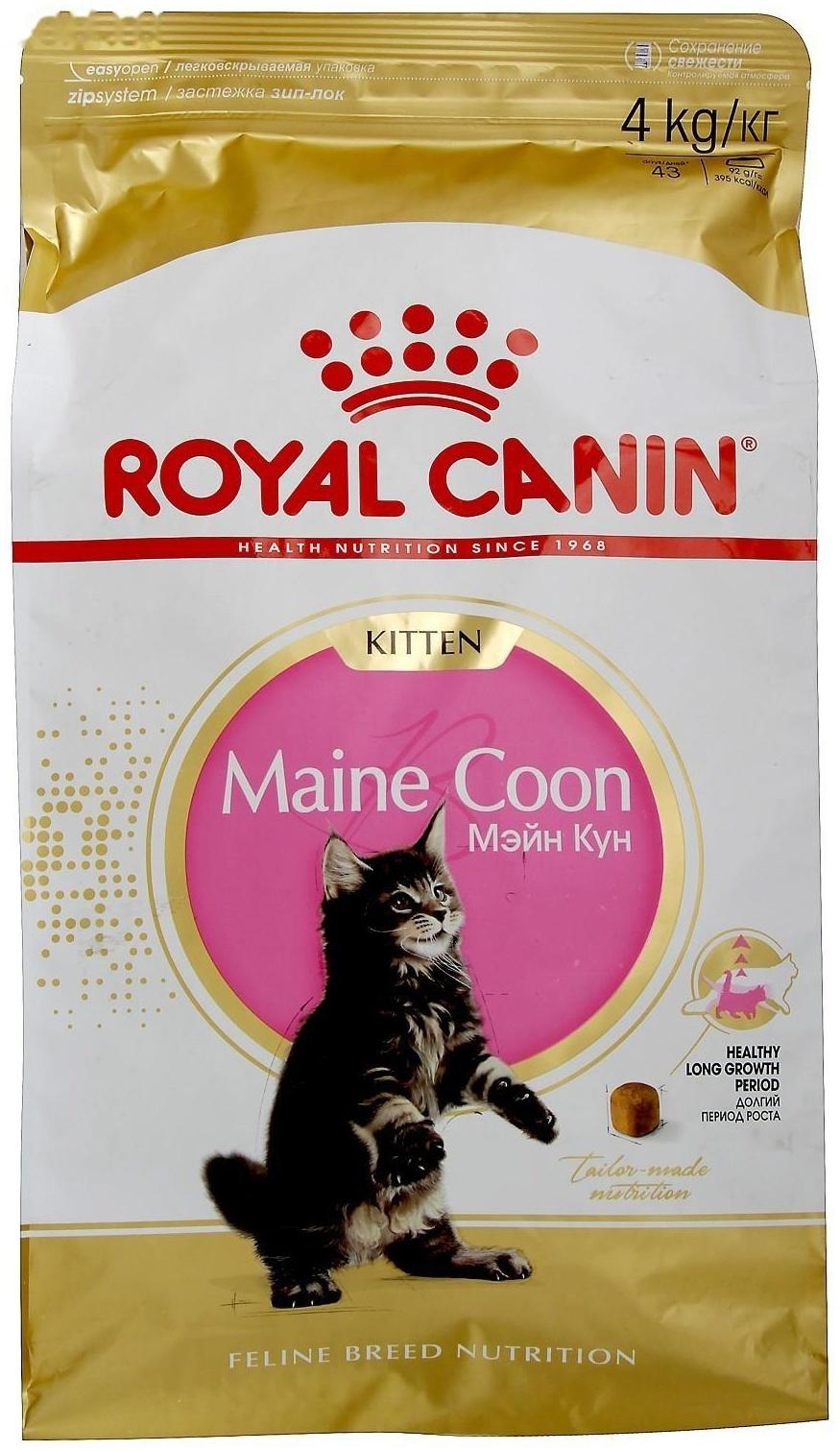 Сухой корм RC Kitten Maine Coon для котят крупных пород, 4 кг