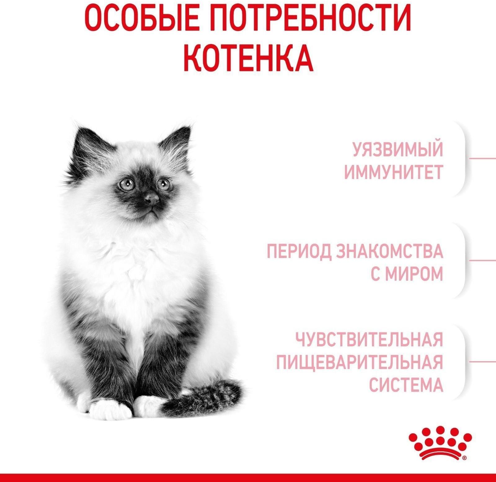 Сухой корм RC Kitten для котят, 2 кг