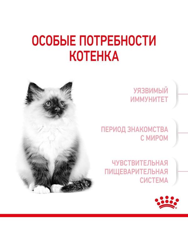 Сухой корм RC Kitten для котят, 2 кг