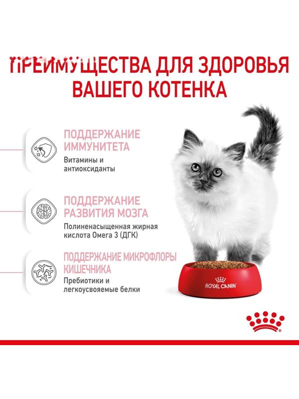 Сухой корм RC Kitten для котят, 2 кг