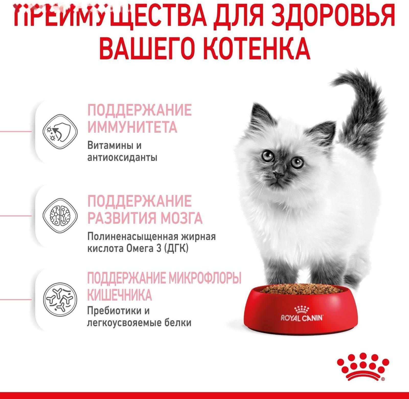 Сухой корм RC Kitten для котят, 4 кг