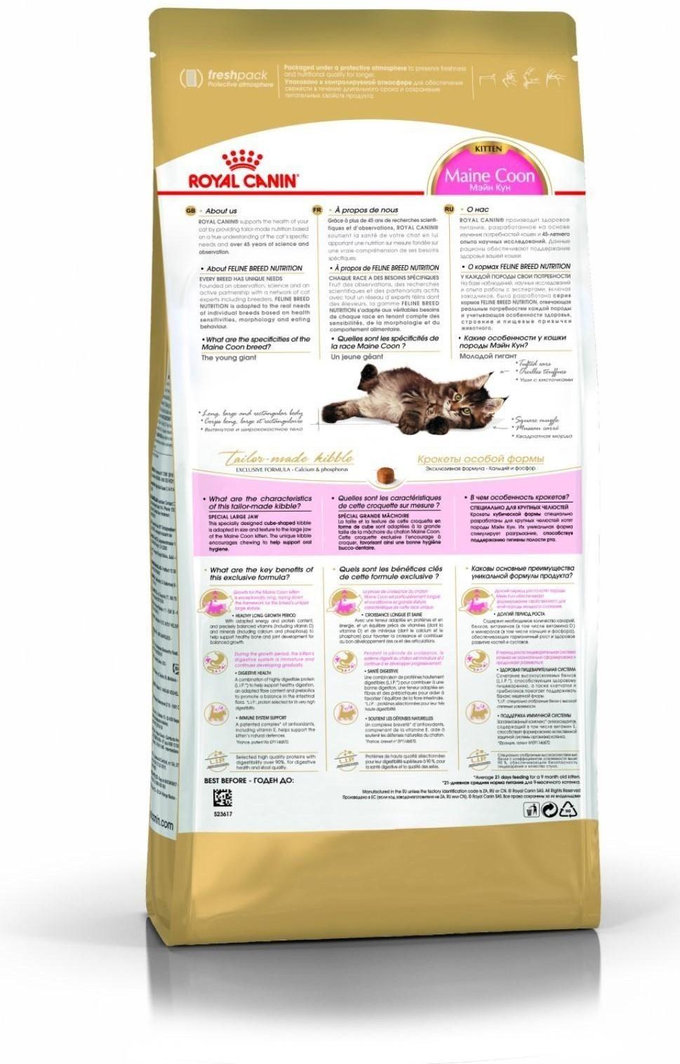 Сухой корм RC Kitten Maine Coon для котят крупных пород, 10 кг