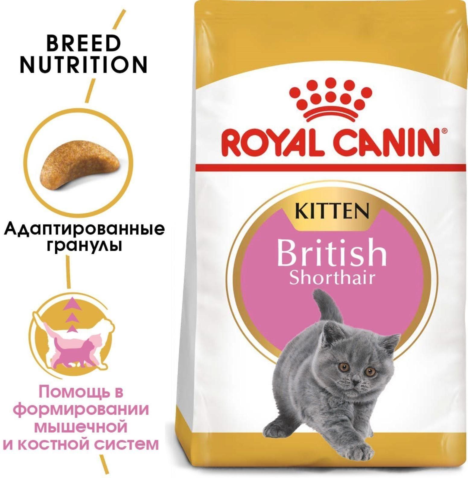 Сухой корм RC Kitten British Shorthair для британских котят, 2 кг