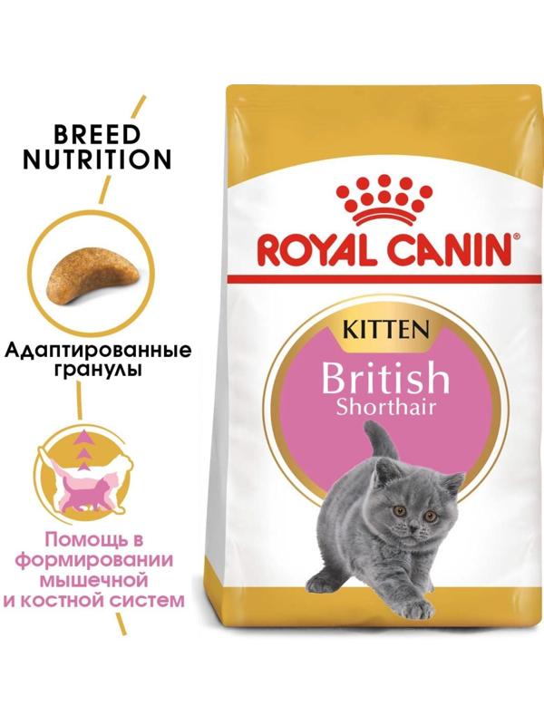 Сухой корм RC Kitten British Shorthair для британских котят, 2 кг