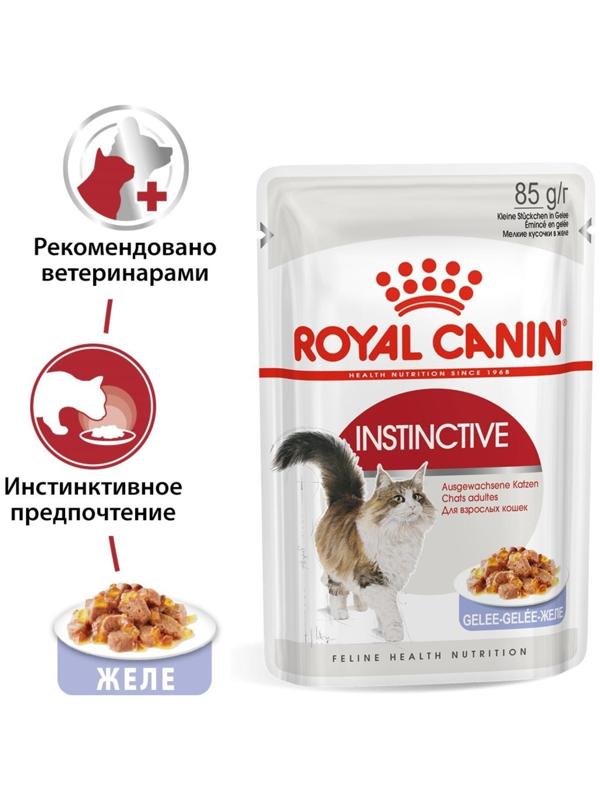 Влажный корм RC Instinctive для кошек, в желе, пауч, 85 г