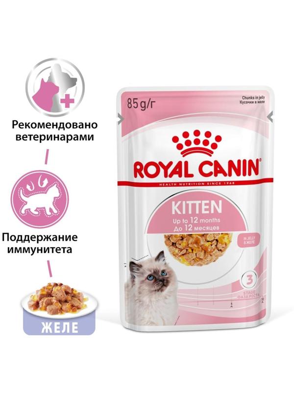 Влажный корм RC Kitten Instinctive для котят, в желе, пауч, 85 г