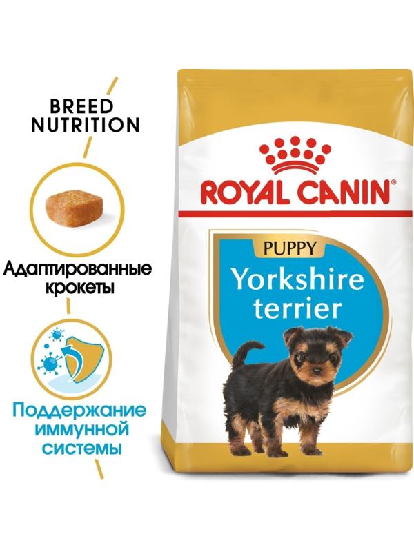 Сухой корм RC Yorkshire Terrier Junior для щенков йоркширского терьера, 500 г