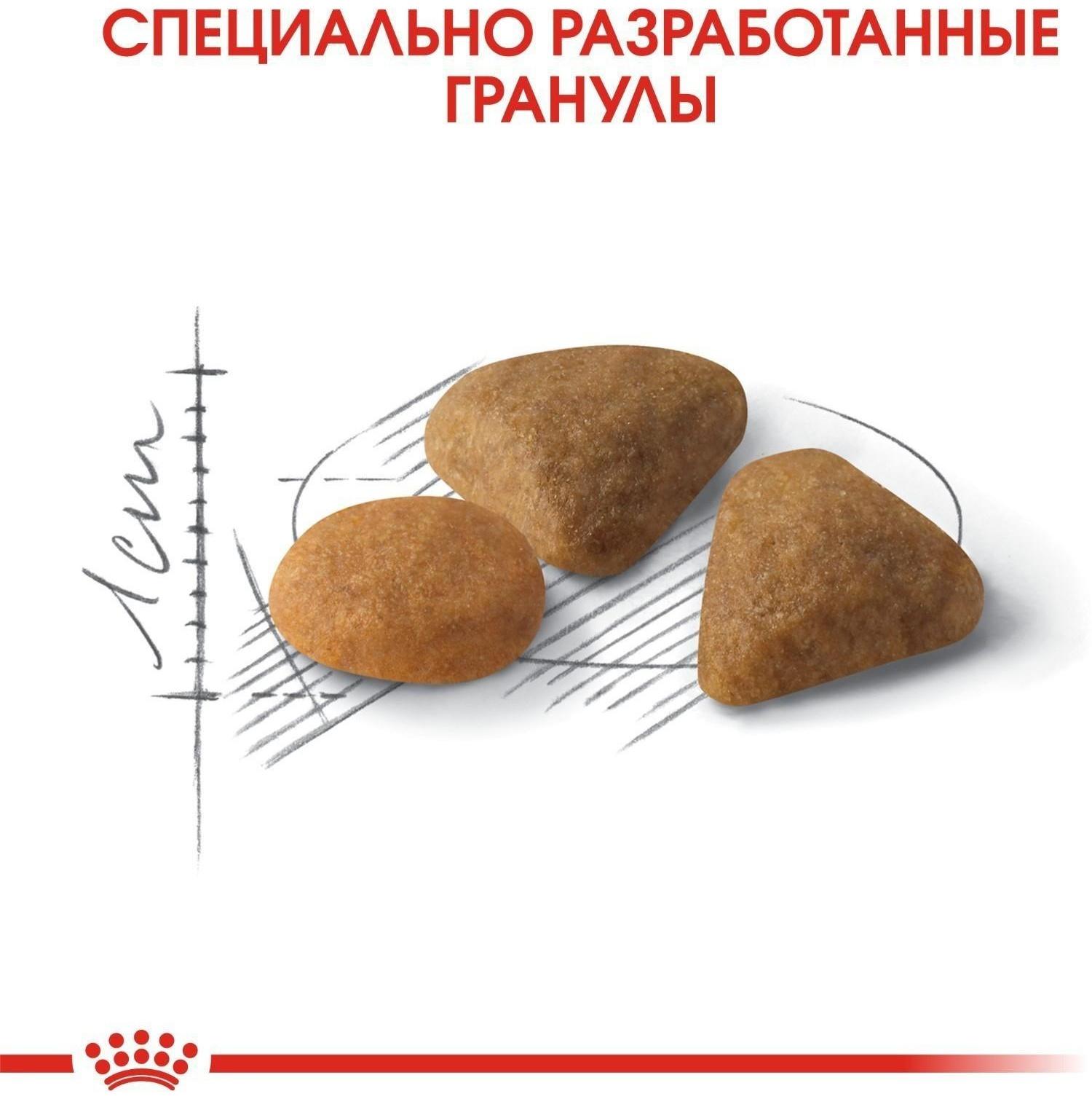 Сухой корм RC Exigent Savour Sensation для кошек привередливых ко вкусу корма,  4 кг