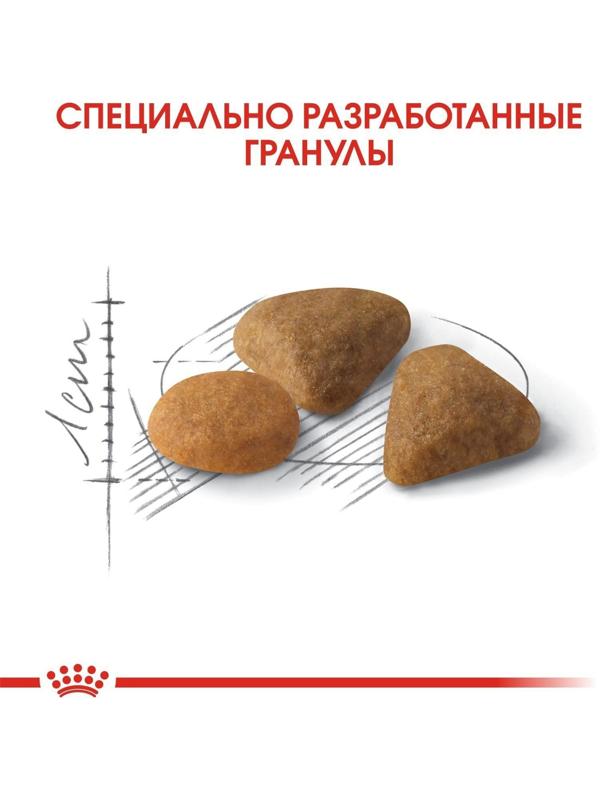 Сухой корм RC Exigent Savour Sensation для кошек привередливых ко вкусу корма,  4 кг