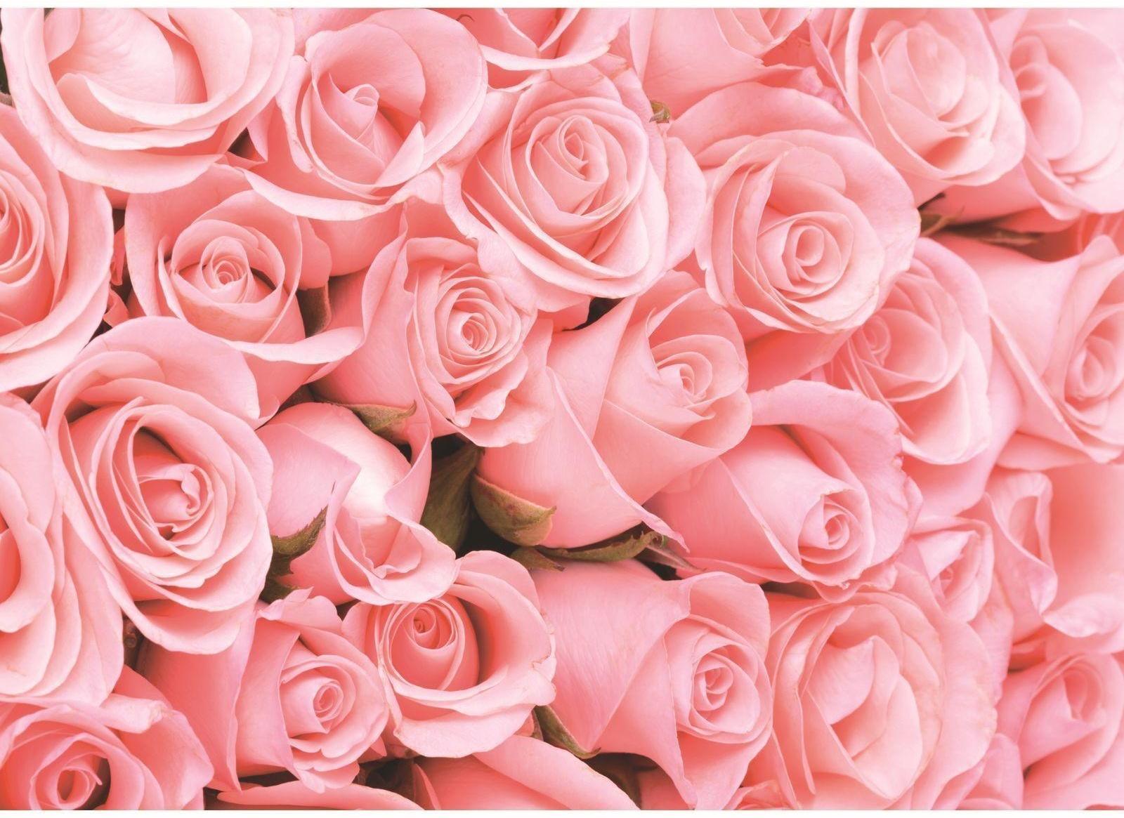 Фотообои К-116 «Романтика» (8 листов), 280 × 200 см