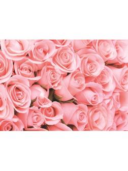 Фотообои К-116 «Романтика» (8 листов), 280 × 200 см