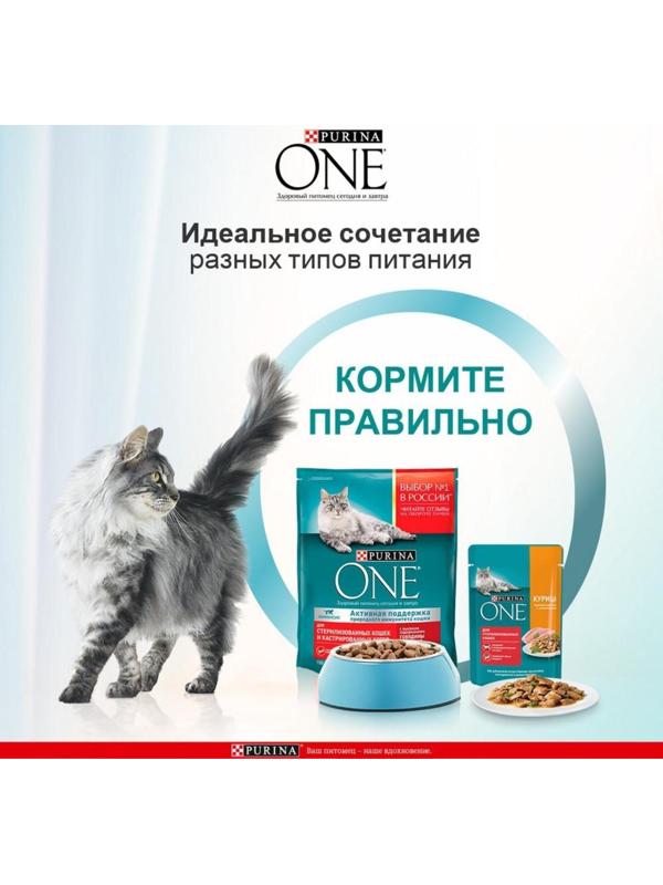 Сухой корм Purinа One для стерилизованных кошек, говядина/пшеница, 750 г