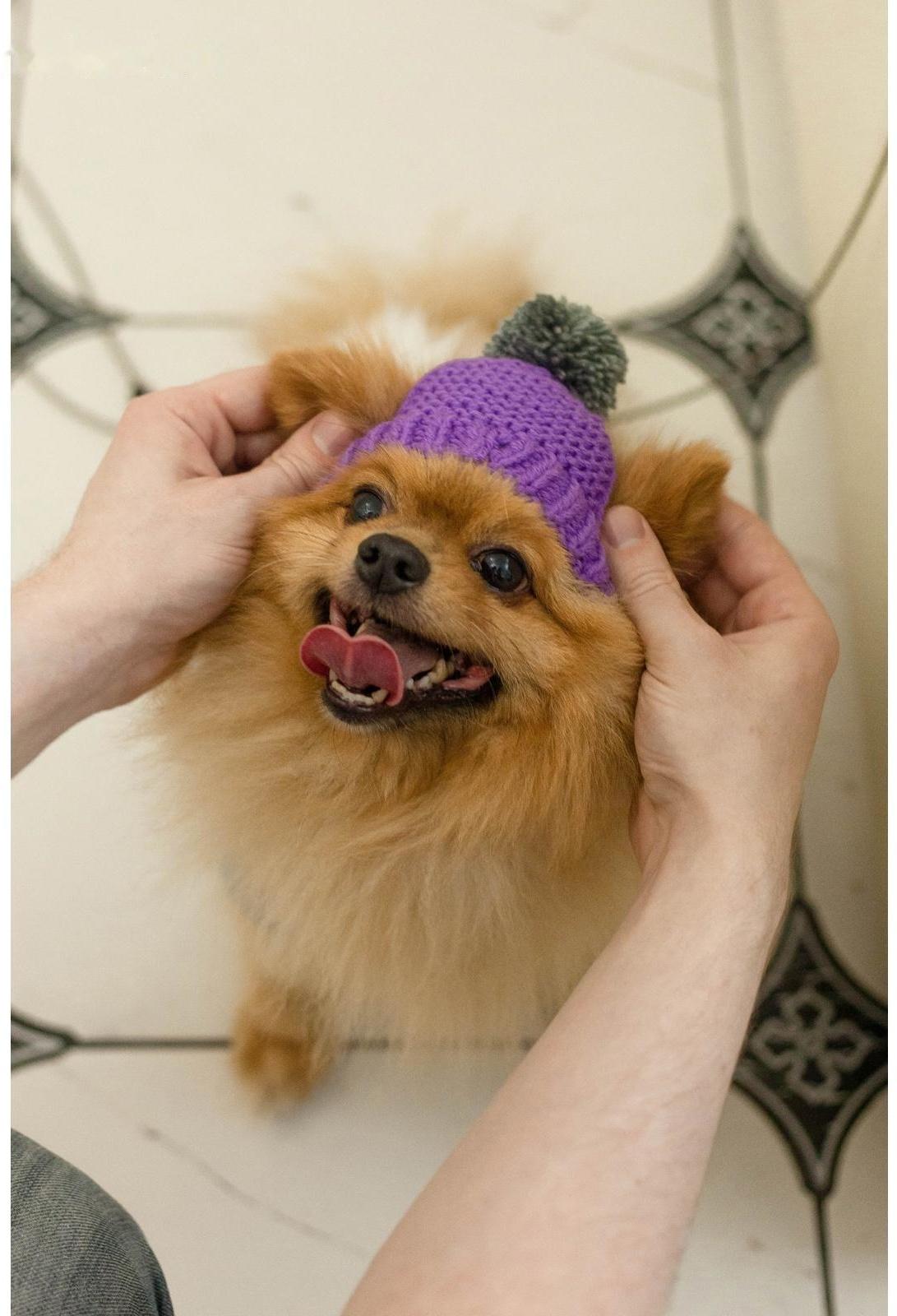 Шапка вязаная для собак, M-L (объем головы 28 см, высота 9 см), микс