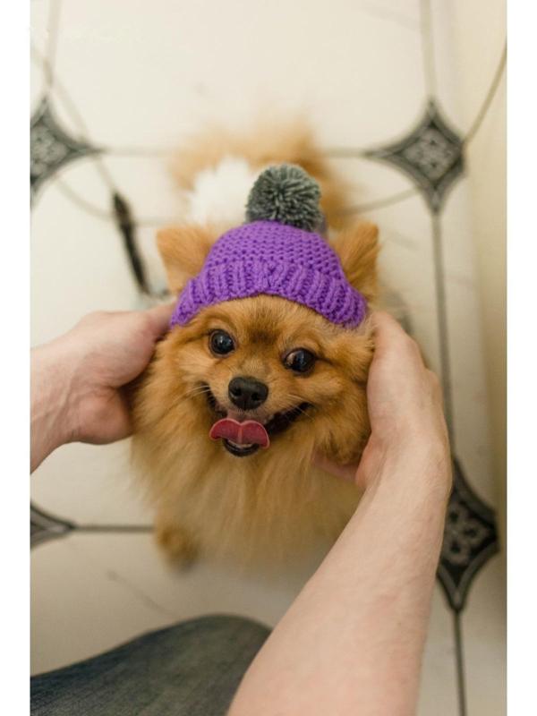 Шапка вязаная для собак, M-L (объем головы 28 см, высота 9 см), микс