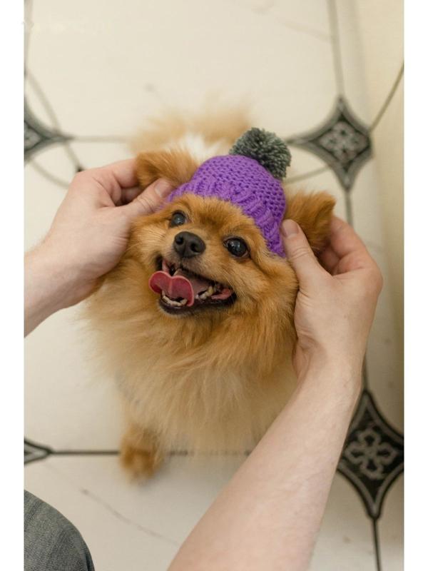 Шапка вязаная для собак, M-L (объем головы 28 см, высота 9 см), микс