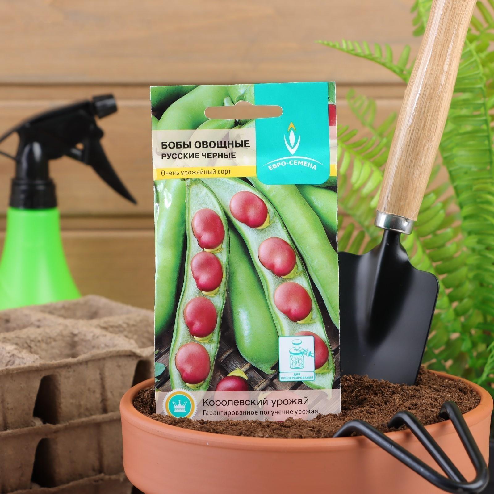 Семена Бобы овощные 