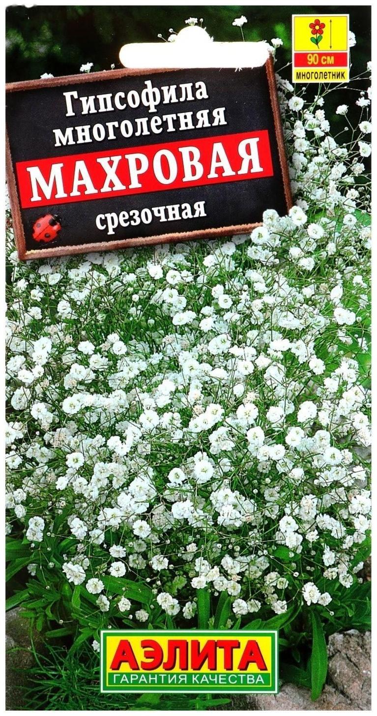 Семена цветов Гипсофила 