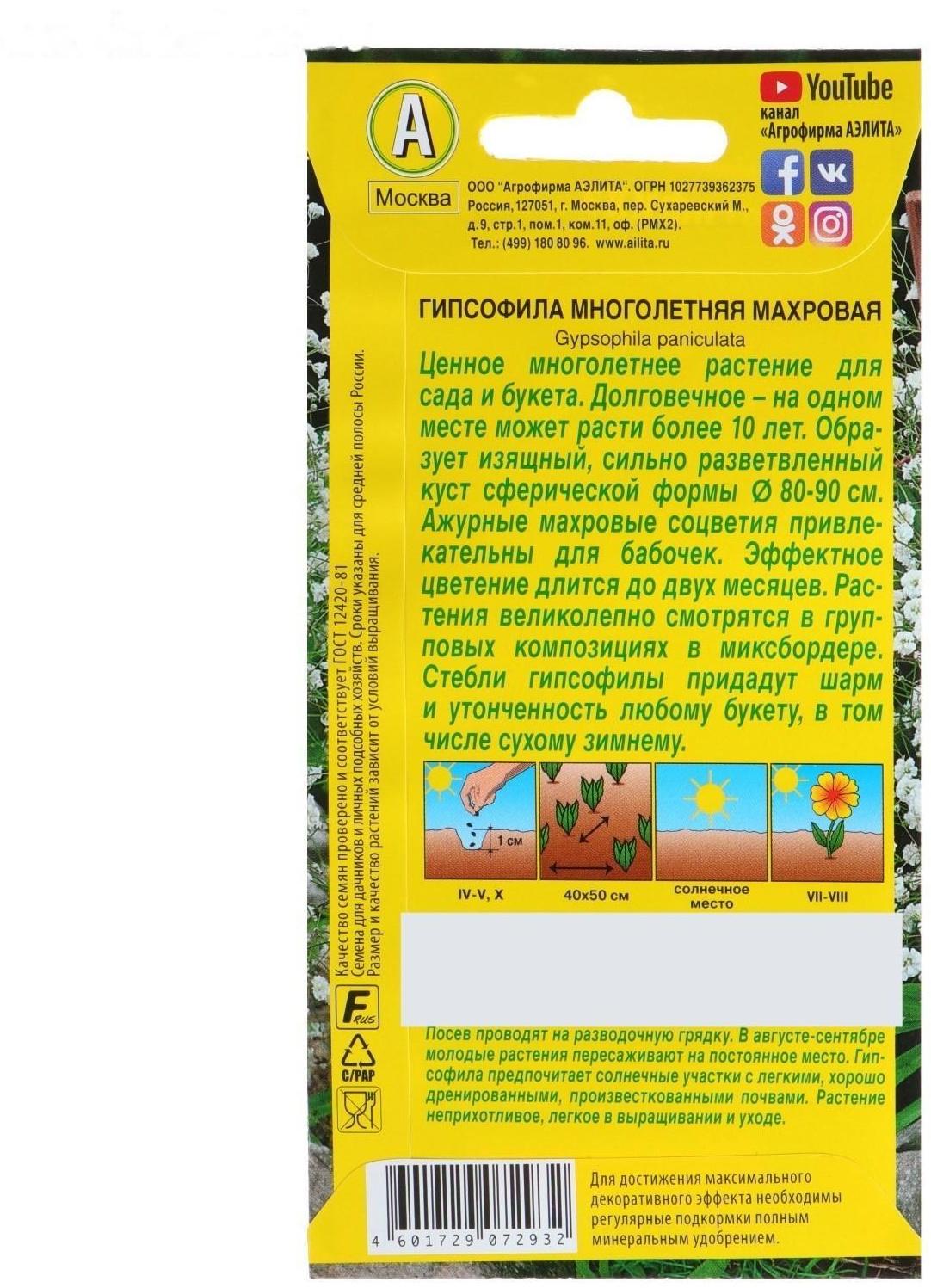 Семена цветов Гипсофила 