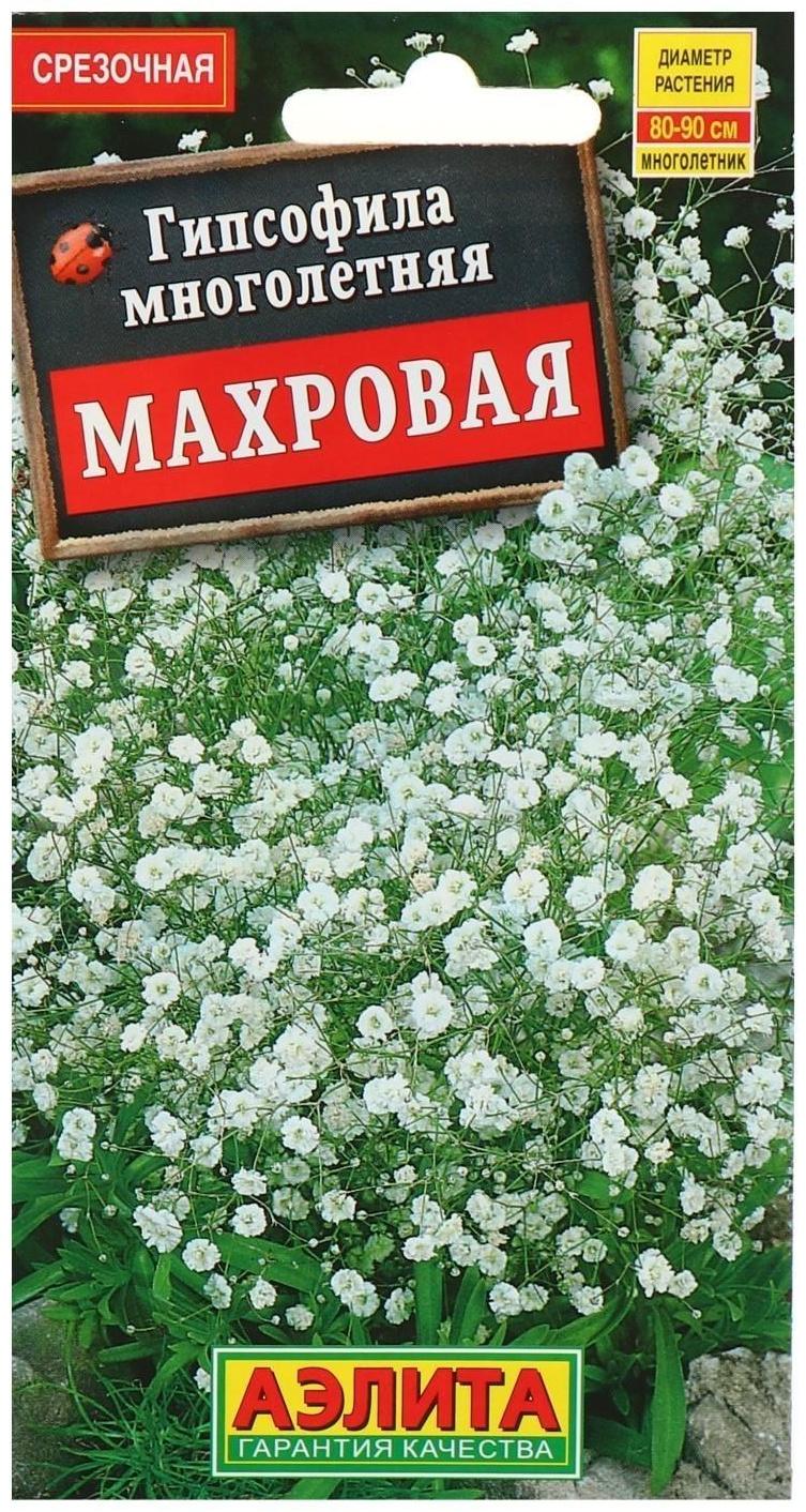 Семена цветов Гипсофила 