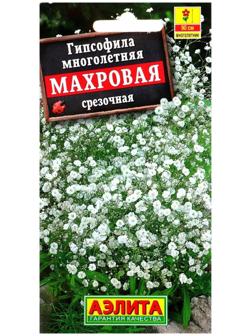 Семена цветов Гипсофила 