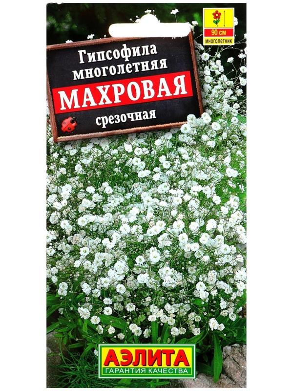 Семена цветов Гипсофила 