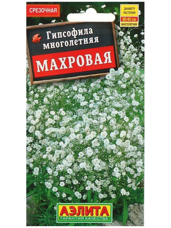 Семена цветов Гипсофила 