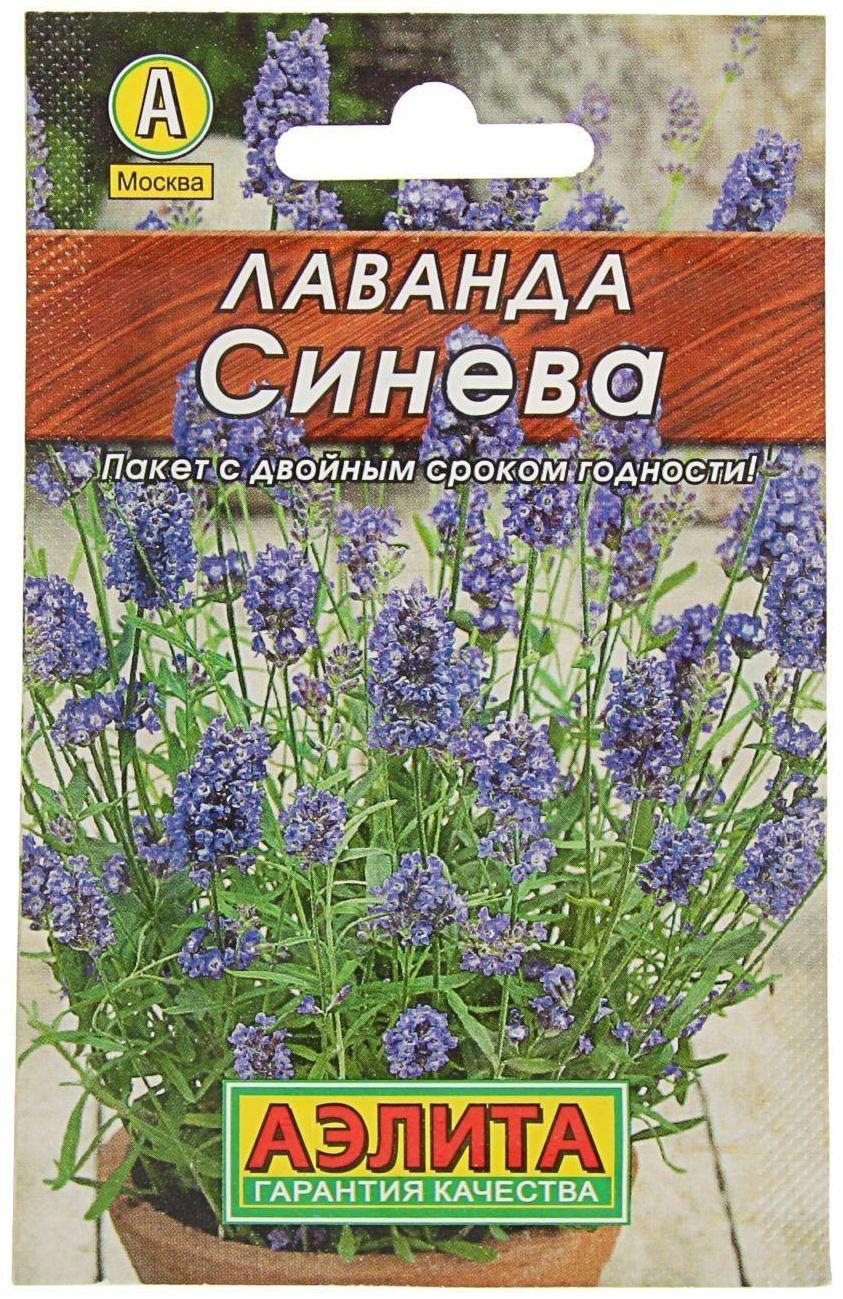 Семена  Лаванда 