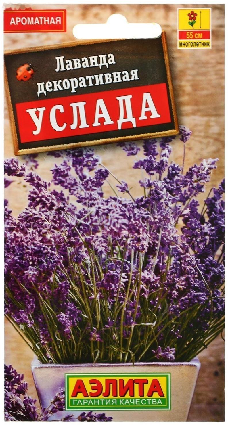 Семена Лаванда 