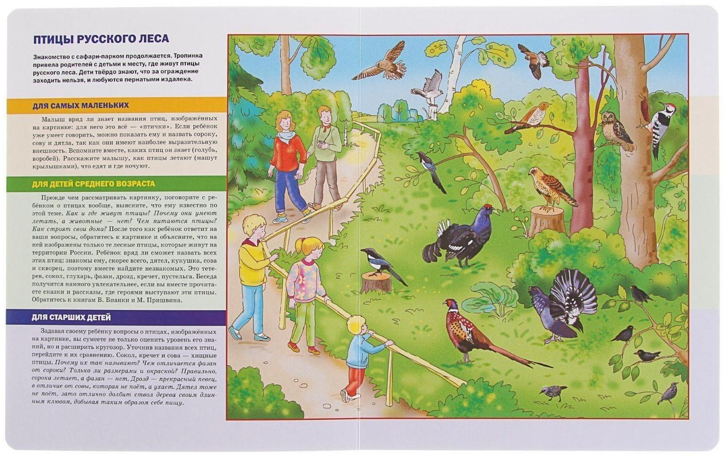 Развитие речи: в зоопарке. Жукова Н. С.