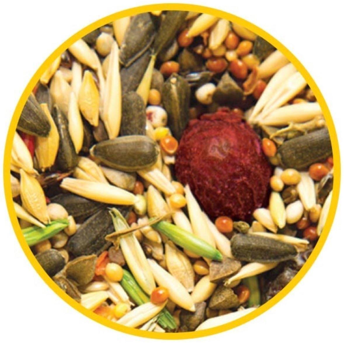 Корм Triol для средних попугаев, 450 г.