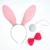 Карнавальный набор «Кролик», три предмета: хвост, ободок, бант