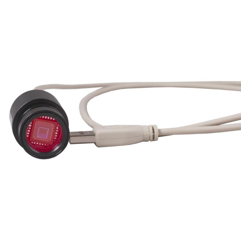 Микроскоп Levenhuk Rainbow D2L, 0,3 Мпикс, Moonstone/Лунный камень (69040)